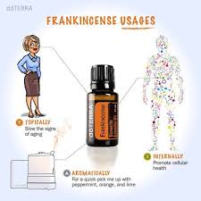 5 Ways To Use Frankincense Every Day Zen Soul Life