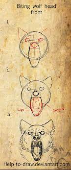 Want to improve your anatomy drawing skills? Biting Wolf Front Tutorial By Casarts Animal Drawings Art Drawings Drawings
