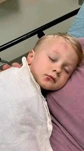 Not local but happily watched this little guy for about ten minutes in  Portugal