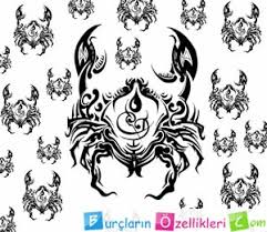 Yengec Burcu Erkegi Kiskanc Midir Nasil Kiskandirilir Burclarin Ozellikleri