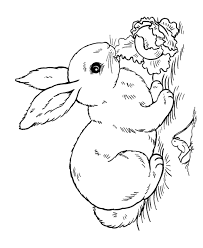 The number of coat colors that pet rabbits can come in is long and sometimes confusing. Bunny Coloring Pages Free Printable Coloring Home