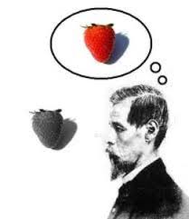 Los qualia | La guía de Filosofía
