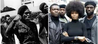 Image result for black panthers oakland