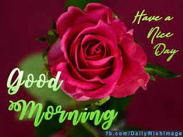 On the other hand, you may struggle in finding words that beautifully articulate your deep feelings for her. Daily Wish Image Dailywishimage Goodmorning Goodmorningimages Good Morning To Mom Good Morning Status Images Good Morning Beautiful Flowers Good Morning Beautiful Rose Good Morning Flowers For Her Good Morning Images For