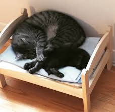 Move over dolls, we want the ikea duktig as a cat bunk bed. Ikea Doll Beds Are Going To The Dogs Cats Page 2 Of 3 Webecoist