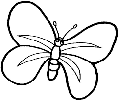 Farfalle 5 Disegni Per Bambini Da Colorare