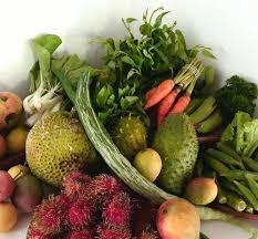 Mon Umete Du Vendredi 100 Local 100 Bio Des Carottes Bio Enfin Mais Aussi Des Haricots Serpents Pota Liseron D Eau Carottes Gombos