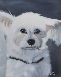 Fluffy White Dog Round Beach Towel