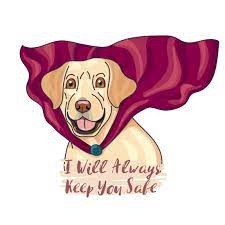 Do Labradors Protect Their Owners Dog Breeds List