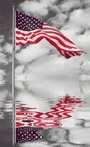 American Flag Meme Gifs Tenor
