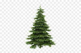 If you like, you can download pictures in icon format or directly in png image format. Real Christmas Trees Png Clipart 2573727 Pikpng