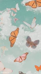 Insta Lexiiilayne In 2020 Butterfly Wallpaper Iphone Butterfly Wallpaper Aesthetic Iphone Wallpaper