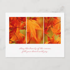 What do you need to say? Business Thanksgiving Postcards No Minimum Quantity Zazzle