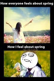 Pollen Allergies Hayfever Foreveralone Allergien Lustig Lustige Humor Bilder Lustige Bilder