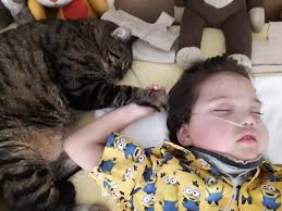 Archie JORDAN Obituary (2019)