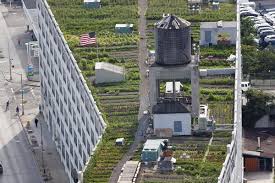 Great Photos Of Nyc Rooftops New York Rooftop Urban Farming Rooftop