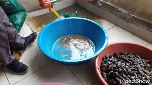 Midye Nasil Yapilir How Making Mussel Youtube
