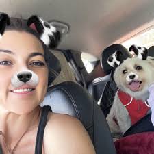 Did you ever hear of this cat breed before? 😻🥰 @esikimir