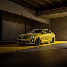 Image result for Dark Yellow Green 2023 Fleet