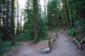 Forest Park Pittock Mansion Wildwood Trail Balch Creek Portland Oregon Forest Park Oregon Forest Wildwood