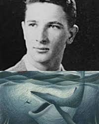 Hartley's Shallow Water Helmet Diving in Bermuda