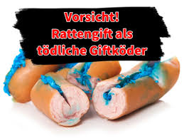 Wir haben eine kostenlose app entwickelt, um gemeinsam gegen hundehasser vorzugehen: Rattengift Beim Hund Symptome Einer Vergiftung Und Erste Hilfe