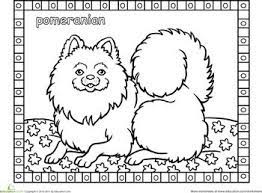 Color The Pomeranian Dog Coloring Page Dog Line Drawing Cat Coloring Book