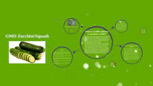 We did not find results for: Gmo Zucchini Squash By Angelina Rotella