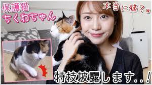 本当に猫..？wうちの愛猫ちくわちゃんの特技披露！【保護猫】 - YouTube