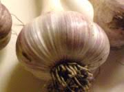 how to substitute garlic powder for fresh garlic cloves in