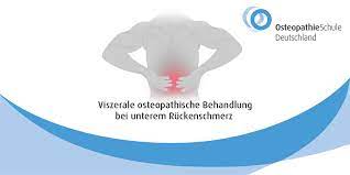 Was sind die typischen ursachen für nackenschmerzen und rückenschmerzen, die an osteopathen herangetragen werden? Viszerale Osteopathische Behandlung Bei Unterem Ruckenschmerz Osteopathie Schule Deutschland