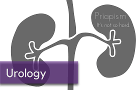 Image result for Priapism