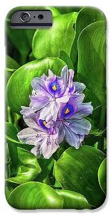 Pin On Artists Holiday Gift Guide Fine Art America