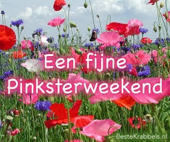 Pinksteren 2021 is in week 20. Pinksteren 2021 Camping De Weyert