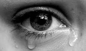 Buayadarat, crocodile tears, pinned by ton van der veer. Seni Menikmati Air Mata Republika Online