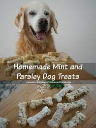 Homemade Mint And Parsley Dog Treats Golden Woofs Dog Treats Dog Food Recipes Diy Dog Treats