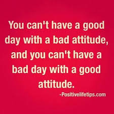 Food For Thought Work Quotes Positive Quotes Quotable Quotes