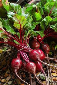Terjumpa pulak ubi ni masa beli belah sayur kat cameron highland. Jasmin Sihat Cantik Khasiat Dan Kelebihan Ubi Bit Beet Root Mungkin Ramai Yang Suka Makan Ubi Bit Kerana Khasiat Untuk Kesihatan Dan Ada Juga Yang Tak Suka Pada Rasanya