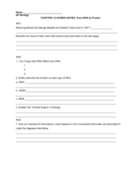 Answer dna transcription and translation worksheet. Transcription And Translation