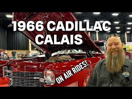 Image result for Live Oak 1966 AC Cars