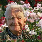 Rosentaufe in Veitshöchheim: Verschönerungsverein beschenkt zum 125jährigen  Jubiläum den Ort mit den Rosen "Die schöne Veitshöchheimerin" und die  "Heilige Bilhildis"