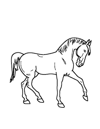 Kies en print een mooie kleurplaat van een bloem: Kleurplaat Paard Makkelijk