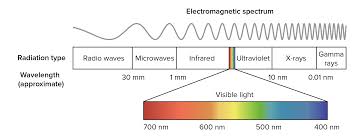 wavelengths of light and photosynthetic pigments article