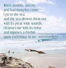 Paradisebythebeach Lagunabeachflorida Pcb Beach Beachtherapy Thewavesaremycalm Beachisms Beachquotes Gulf Happy Hour Deals Drink Specials Beach Quotes