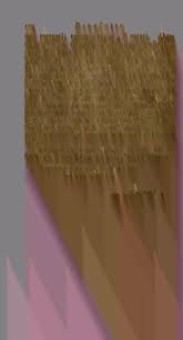 Image result for Swertia pleurogynoides