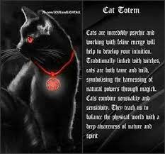 Your Animal Spirit Guide For June 14th Is The Cat Cat Totem Cat Spirit Animal Spirit Guide