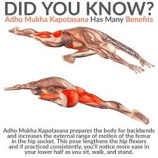 Yoga On Instagram Thanks For Sharing Consciousvibrancy Hip Flexor Yoga Anatomy Kapotasana