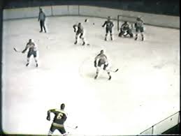 Got the beer, got the wings! 1968 69 Nhl Season Ice Hockey Wiki Fandom
