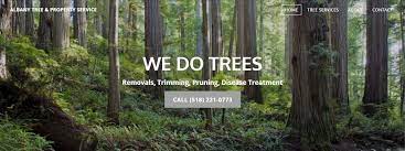 Removals, trimming, pruning, replanting, disease treatment in albany, ny. Albany Tree Property Service Home Facebook