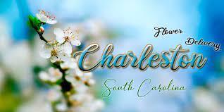 Our page is a great way to see what specials we have going. 9 Best Flower Delivery In Charleston Sc 2021